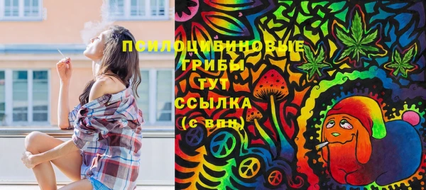 эйфоретик Богородск