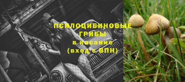 соль курить ск Богданович